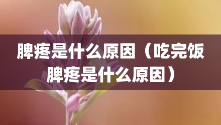 脾疼是什么原因（吃完饭脾疼是什么原因）