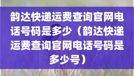 韵达快递运费查询官网电话号码是多少(韵达快递运费查询官网电话号码是多少号)
