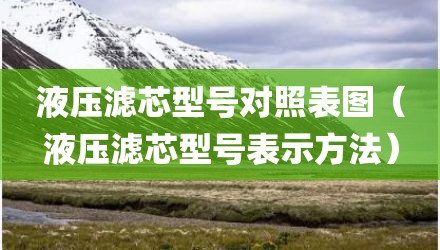 液压滤芯型号对照表图（液压滤芯型号表示方法）