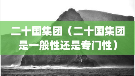 二十国集团（二十国集团是一般性还是专门性）
