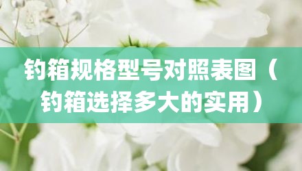 钓箱规格型号对照表图（钓箱选择多大的实用）