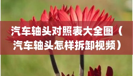 汽车轴头对照表大全图（汽车轴头怎样拆卸视频）