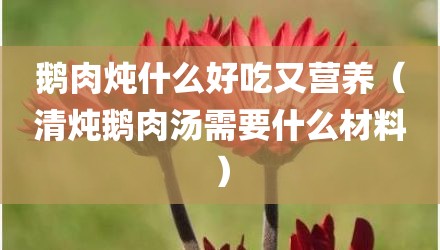 鹅肉炖什么好吃又营养（清炖鹅肉汤需要什么材料）
