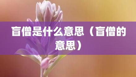 盲僧是什么意思（盲僧的意思）