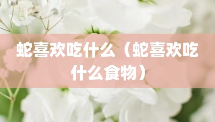 蛇喜欢吃什么(蛇喜欢吃什么食物)