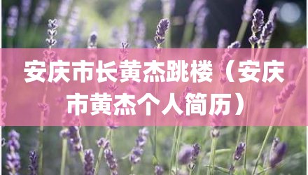 安庆市长黄杰跳楼（安庆市黄杰个人简历）