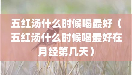 五红汤什么时候喝最好(五红汤什么时候喝最好在月经第几天)