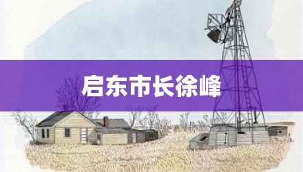 启东市长徐峰