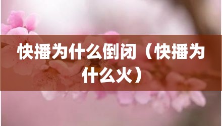 快播为什么倒闭（快播为什么火）