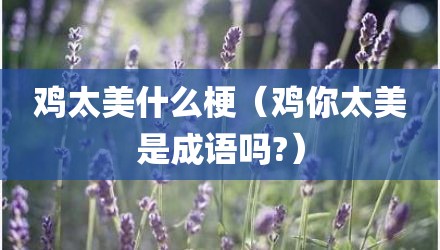 鸡太美什么梗（鸡你太美是成语吗?）