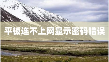 平板连不上网显示密码错误