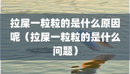 拉屎一粒粒的是什么原因呢（拉屎一粒粒的是什么问题）
