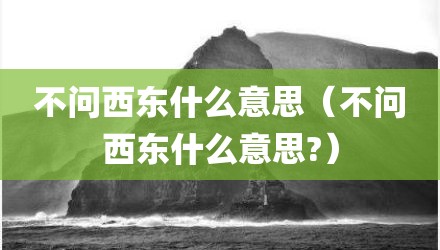 不问西东什么意思（不问西东什么意思?）