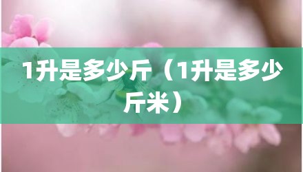 1升是多少斤（1升是多少斤米）