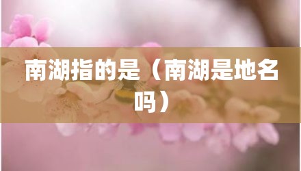 南湖指的是（南湖是地名吗）