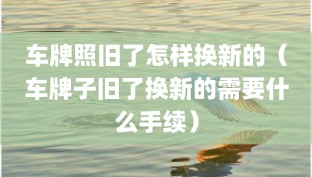 车牌照旧了怎样换新的（车牌子旧了换新的需要什么手续）