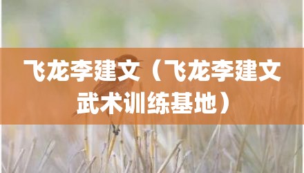 飞龙李建文(飞龙李建文武术训练基地)