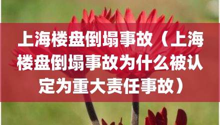 上海楼盘倒塌事故（上海楼盘倒塌事故为什么被认定为重大责任事故）