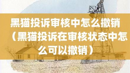 黑猫投诉审核中怎么撤销（黑猫投诉在审核状态中怎么可以撤销）
