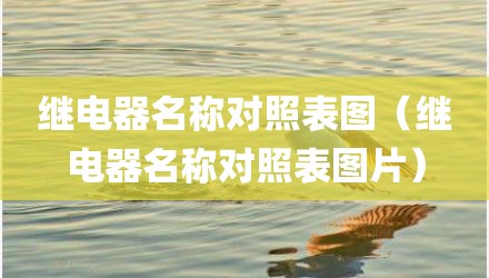 继电器名称对照表图（继电器名称对照表图片）