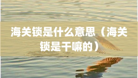 海关锁是什么意思（海关锁是干嘛的）