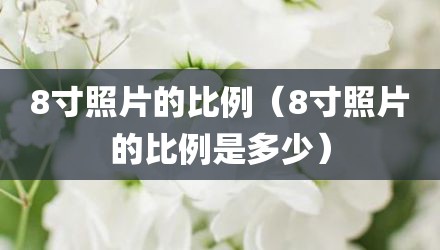 8寸照片的比例（8寸照片的比例是多少）