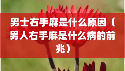 男士右手麻是什么原因(男人右手麻是什么病的前兆)