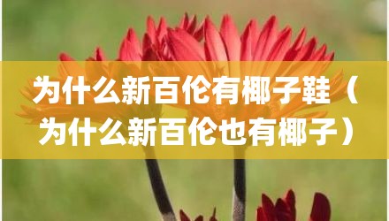 为什么新百伦有椰子鞋（为什么新百伦也有椰子）