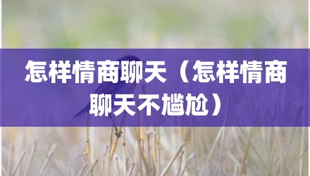 怎样情商聊天（怎样情商聊天不尴尬）