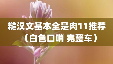糙汉文基本全是肉11推荐（白色口哨 完整车）
