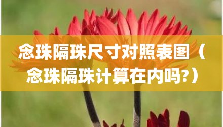 念珠隔珠尺寸对照表图（念珠隔珠计算在内吗?）