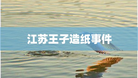 江苏王子造纸事件
