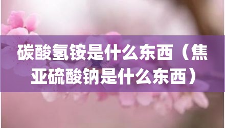 碳酸氢铵是什么东西（焦亚硫酸钠是什么东西）