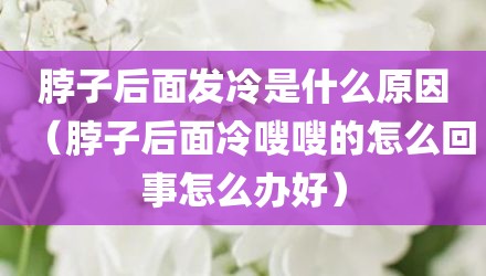 脖子后面发冷是什么原因（脖子后面冷嗖嗖的怎么回事怎么办好）