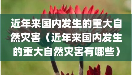 近年来国内发生的重大自然灾害（近年来国内发生的重大自然灾害有哪些）