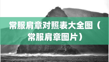 常服肩章对照表大全图（常服肩章图片）
