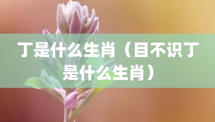 丁是什么生肖（目不识丁是什么生肖）