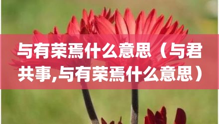 与有荣焉什么意思（与君共事,与有荣焉什么意思）