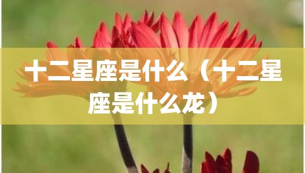 十二星座是什么（十二星座是什么龙）