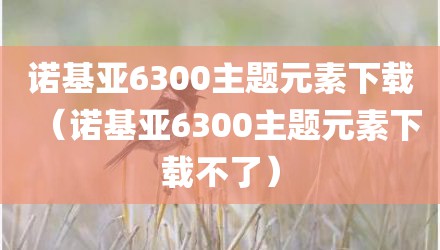 诺基亚6300主题元素下载（诺基亚6300主题元素下载不了）