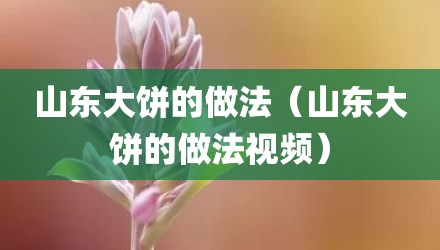山东大饼的做法（山东大饼的做法视频）