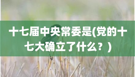 十七届中央常委是(党的十七大确立了什么？)