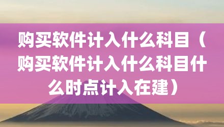 购买软件计入什么科目（购买软件计入什么科目什么时点计入在建）