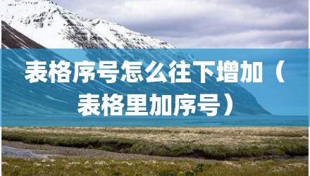表格序号怎么往下增加（表格里加序号）