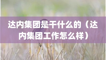 达内集团是干什么的（达内集团工作怎么样）