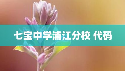 七宝中学浦江分校 代码