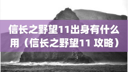 信长之野望11出身有什么用（信长之野望11 攻略）