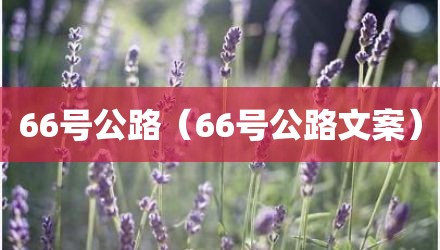66号公路（66号公路文案）