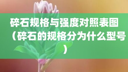 碎石规格与强度对照表图(碎石的规格分为什么型号)