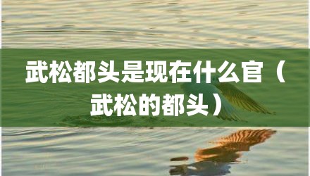 武松都头是现在什么官（武松的都头）